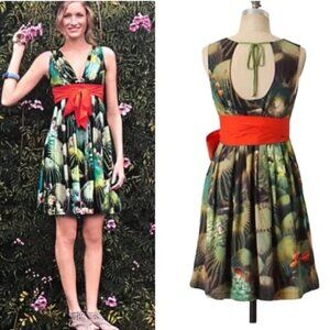 Anthropologie Eva Franco Cactus Fit and Flare Dress size 6